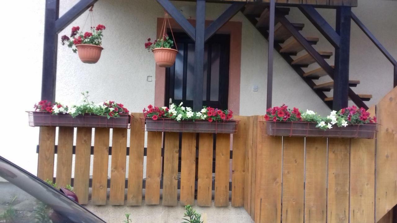 Apartment Lug Saborsko Εξωτερικό φωτογραφία