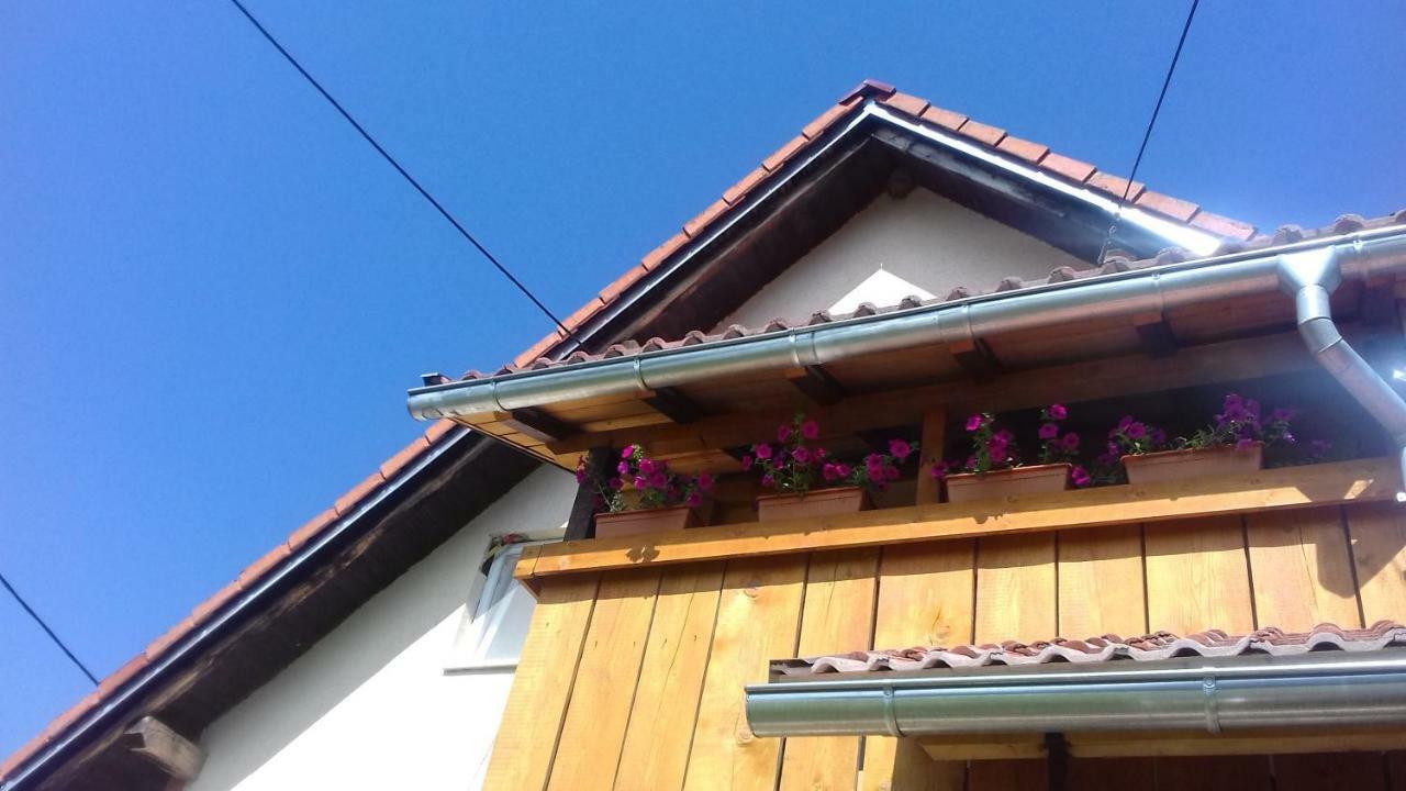 Apartment Lug Saborsko Εξωτερικό φωτογραφία