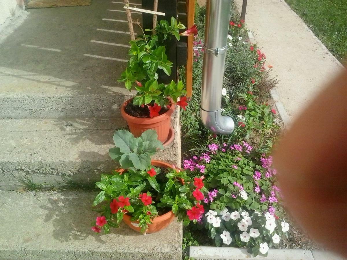 Apartment Lug Saborsko Εξωτερικό φωτογραφία